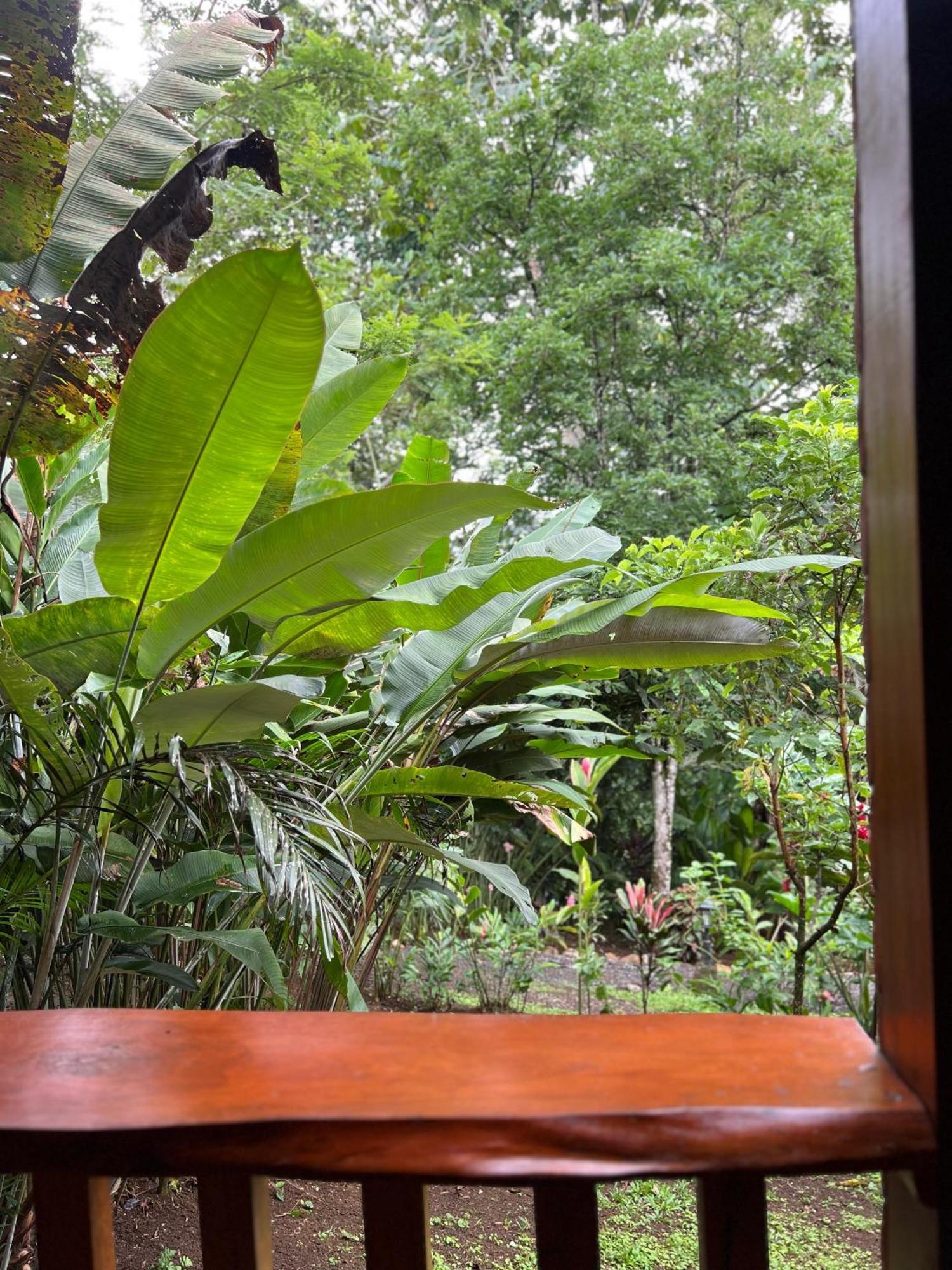 Arenal Rustic Lodge La Fortuna Exterior foto